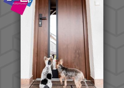 Thury 5 Acél Plus bejárati ajtó dió és fehér színben, Nagykanizsa