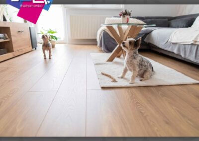 Thury 5 Acél Plus ajtó dió/fehér színben, Nagykanizsa. Beltéri Kisbér ajtó.