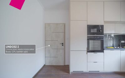 HiSec Modern lépcsőházi bejárati ajtó – székesfehárvári munkánk