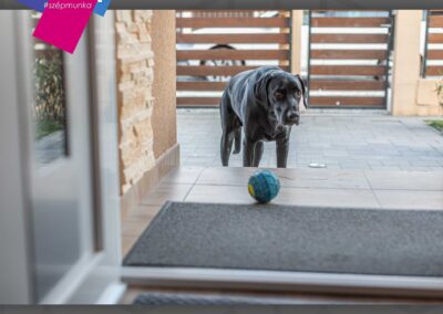 Szigethalmi Gealan In-24 paneles műanyag bejárati ajtó üvegezéssel